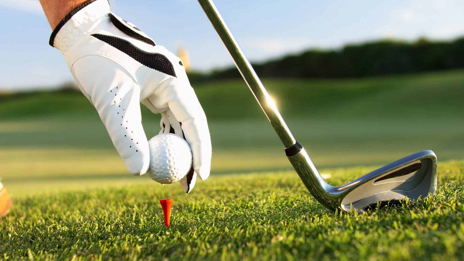 golf accessories - golf supports