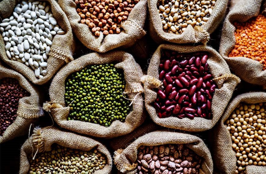 10 Best Anti-Inflammatory Foods you should add to your Diet 6 Supports product